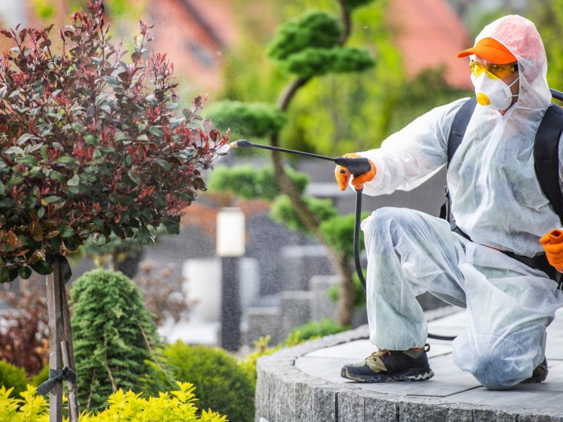 Çameli Haşere İlaçlama