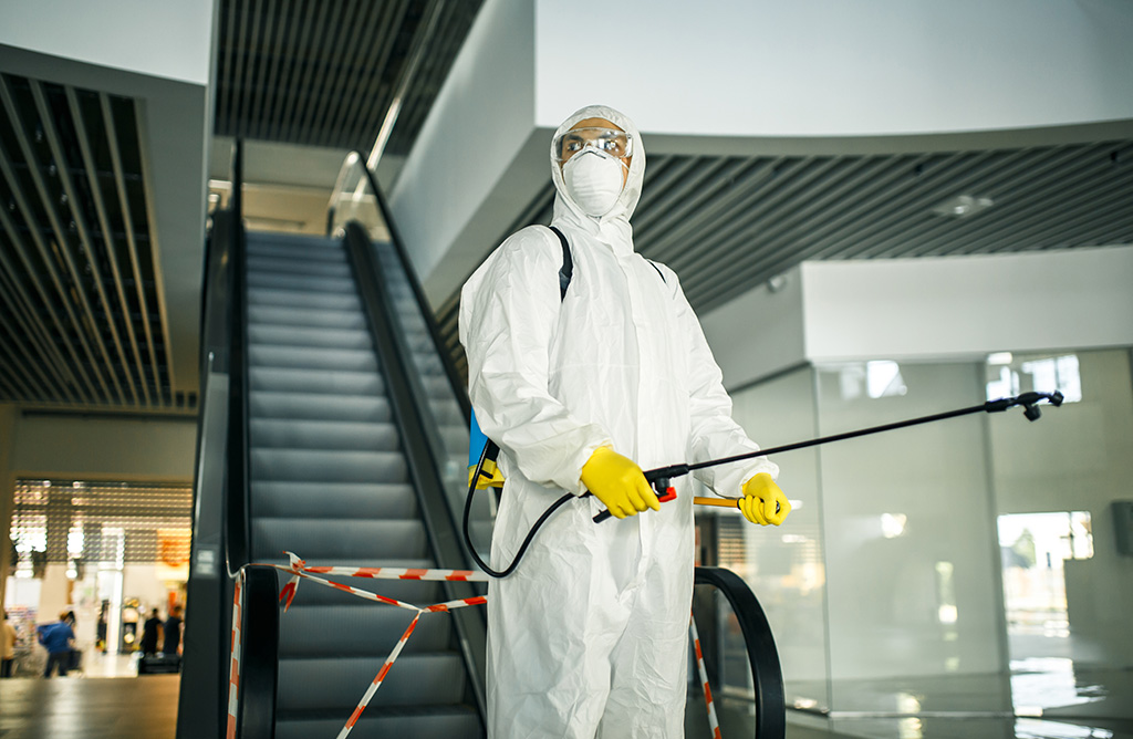 Çameli Haşere İlaçlama